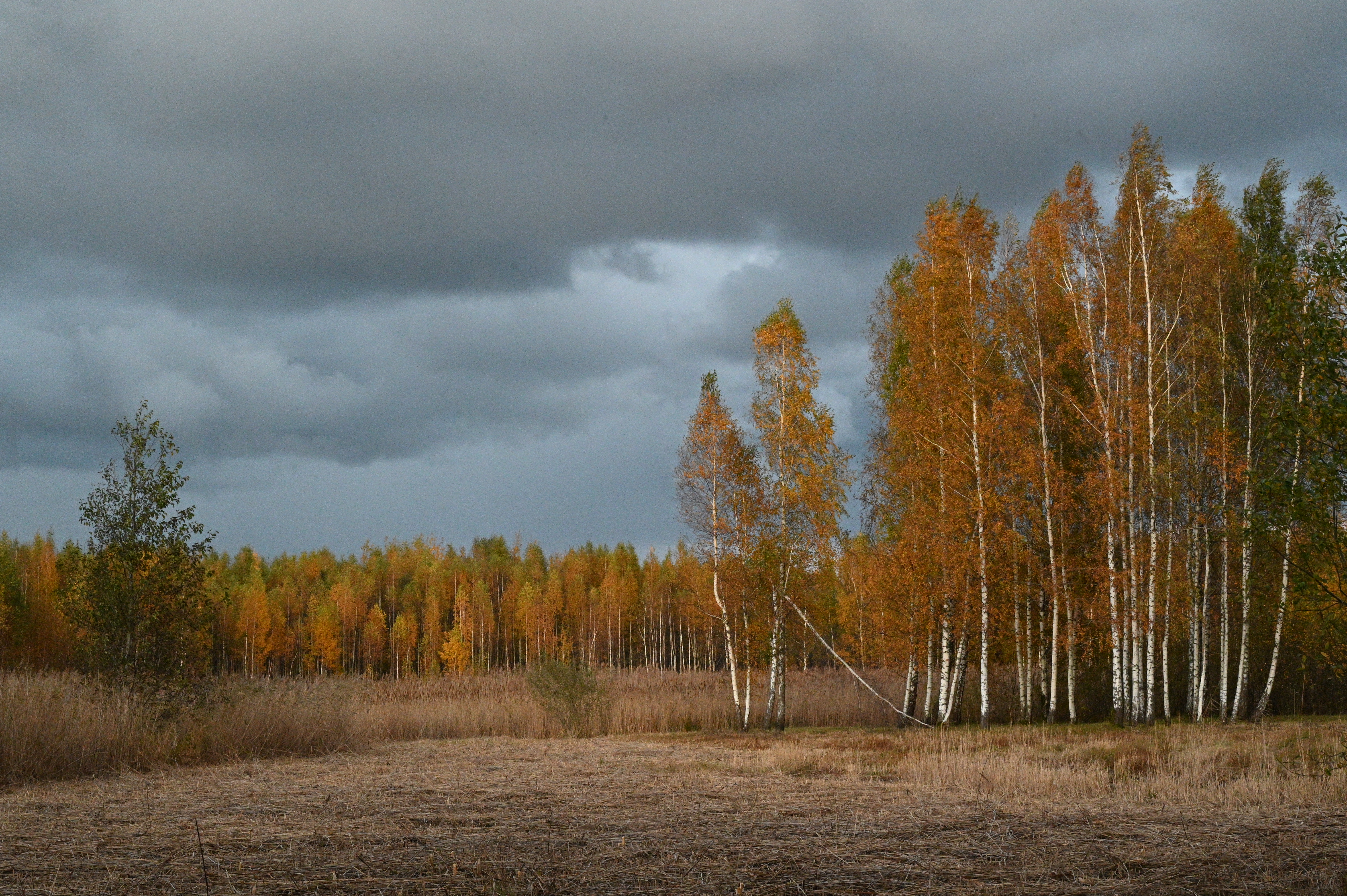 2025/10/18 - walk/DSC_0543.JPG